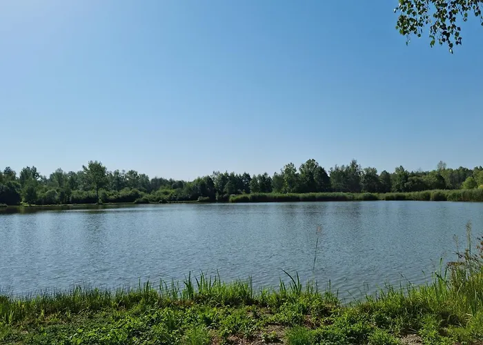 Hotel apartamentowy Park Zator